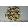 dried and natural Balsam Pear slice in green color